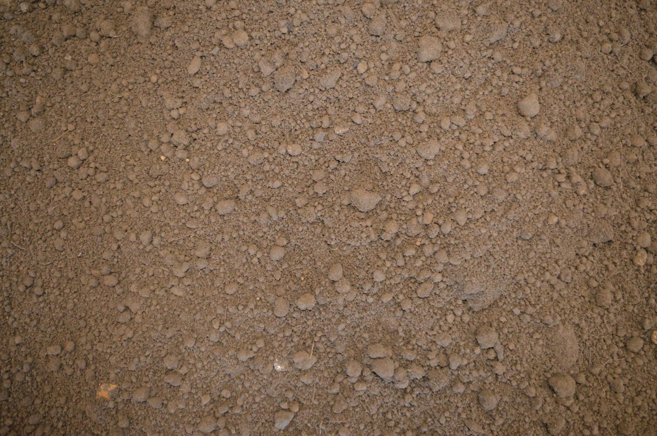 BLS 2 Boughton Screened – Natural Topsoil, Single Source - Single Source Natural Topsoil