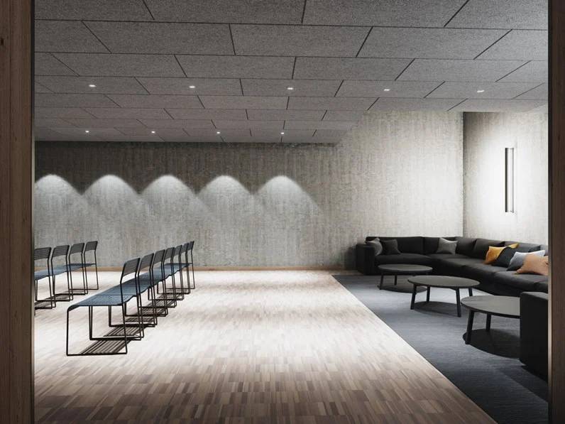 Ecophon Saga™ D A2 - Suspended Ceiling System