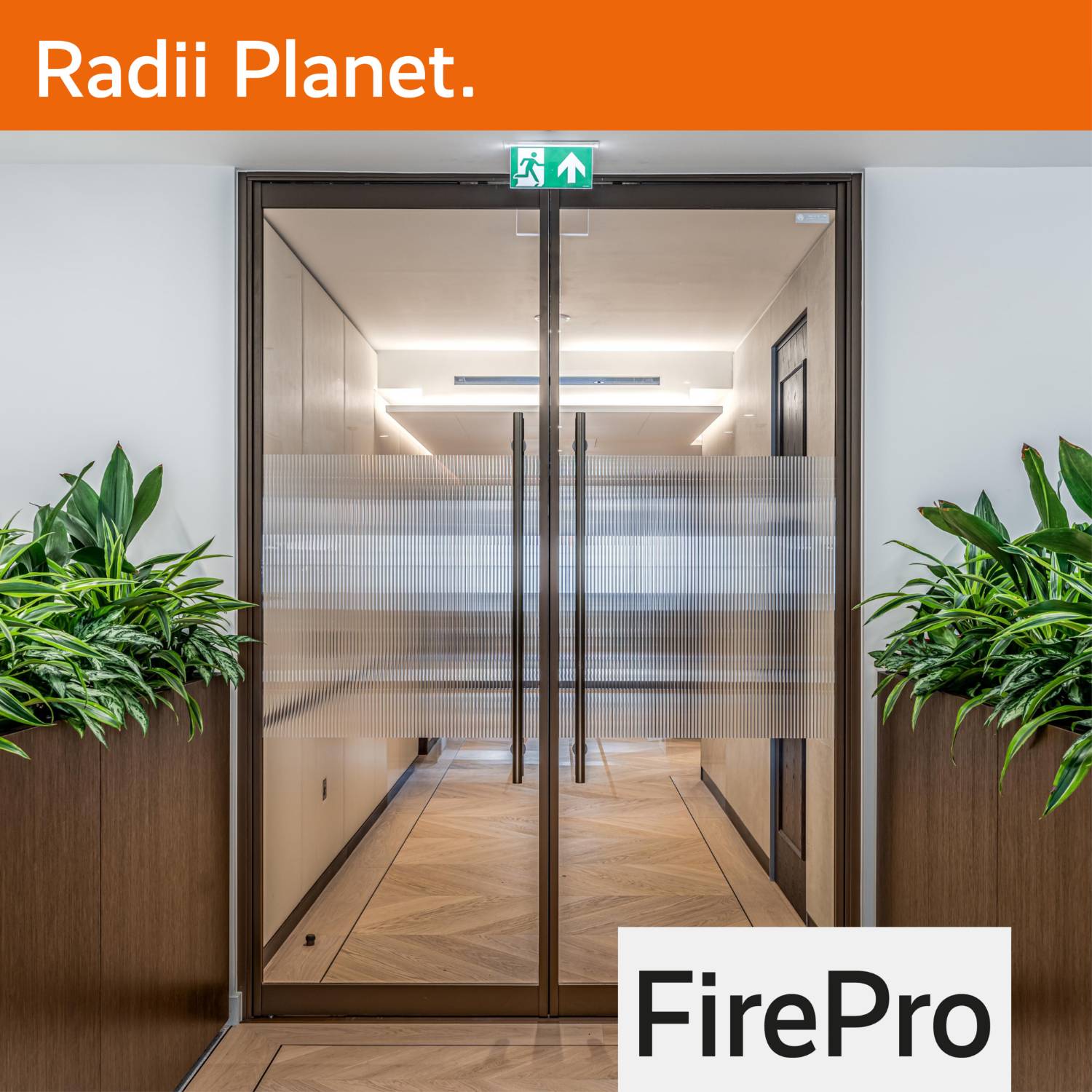 FirePro E30 Single Glazed Partition System and Doorset