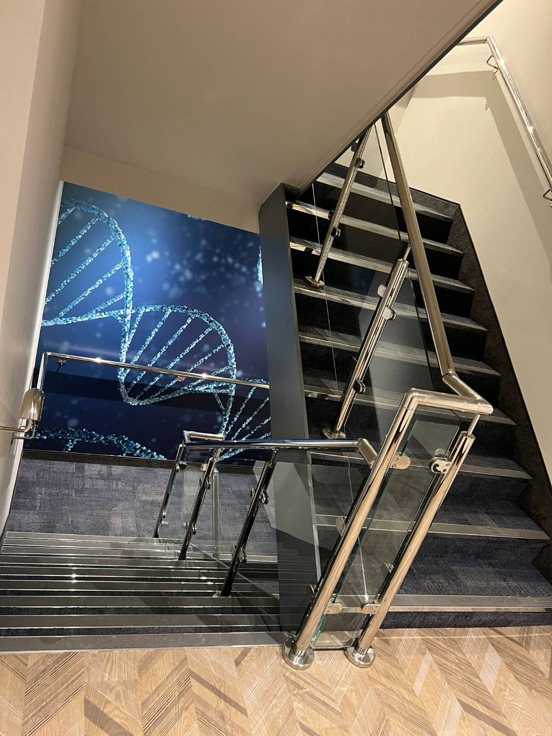 SMART Stainless Steel Staircase Balustrades 