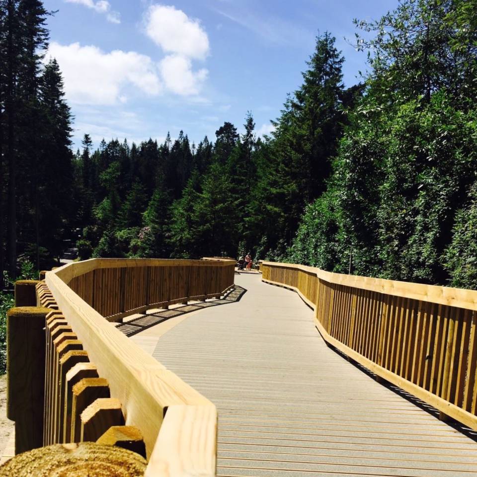 Boardwalk Heritage Non-Slip Decking - Non-Slip Decking