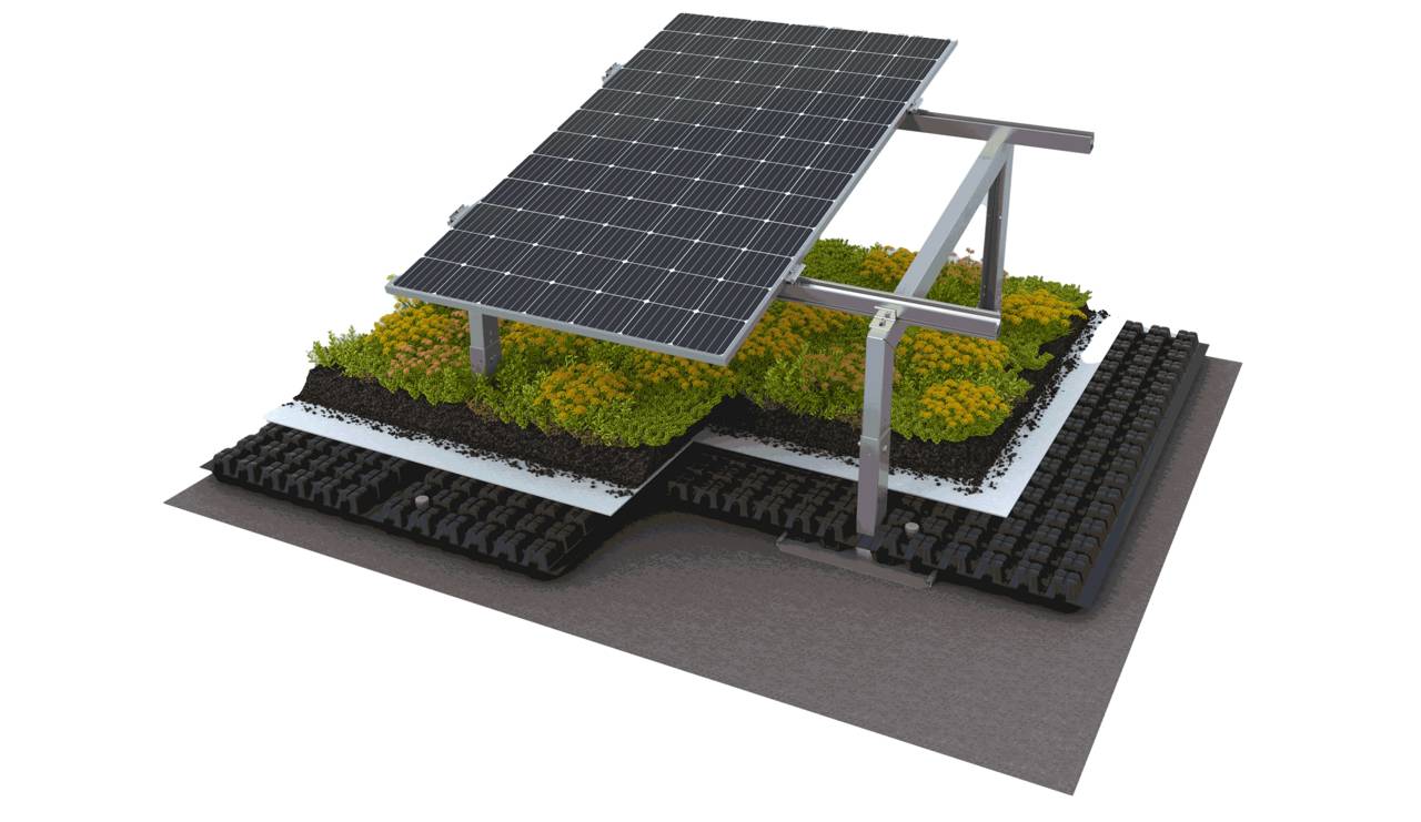 Solar Green Roof