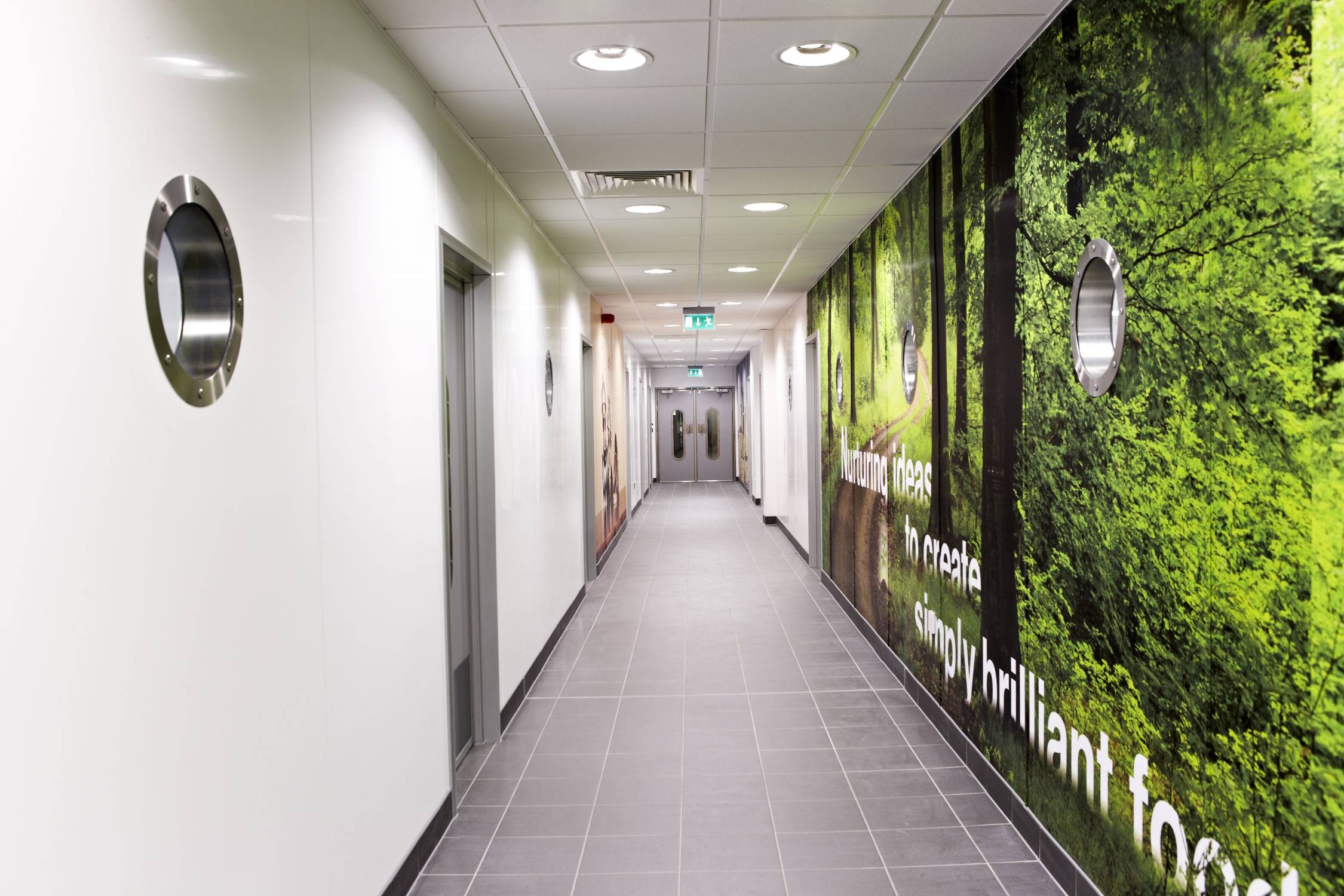 BioClad White Antimicrobial Hygienic Wall Cladding - Antimicrobial Hygienic Cladding 