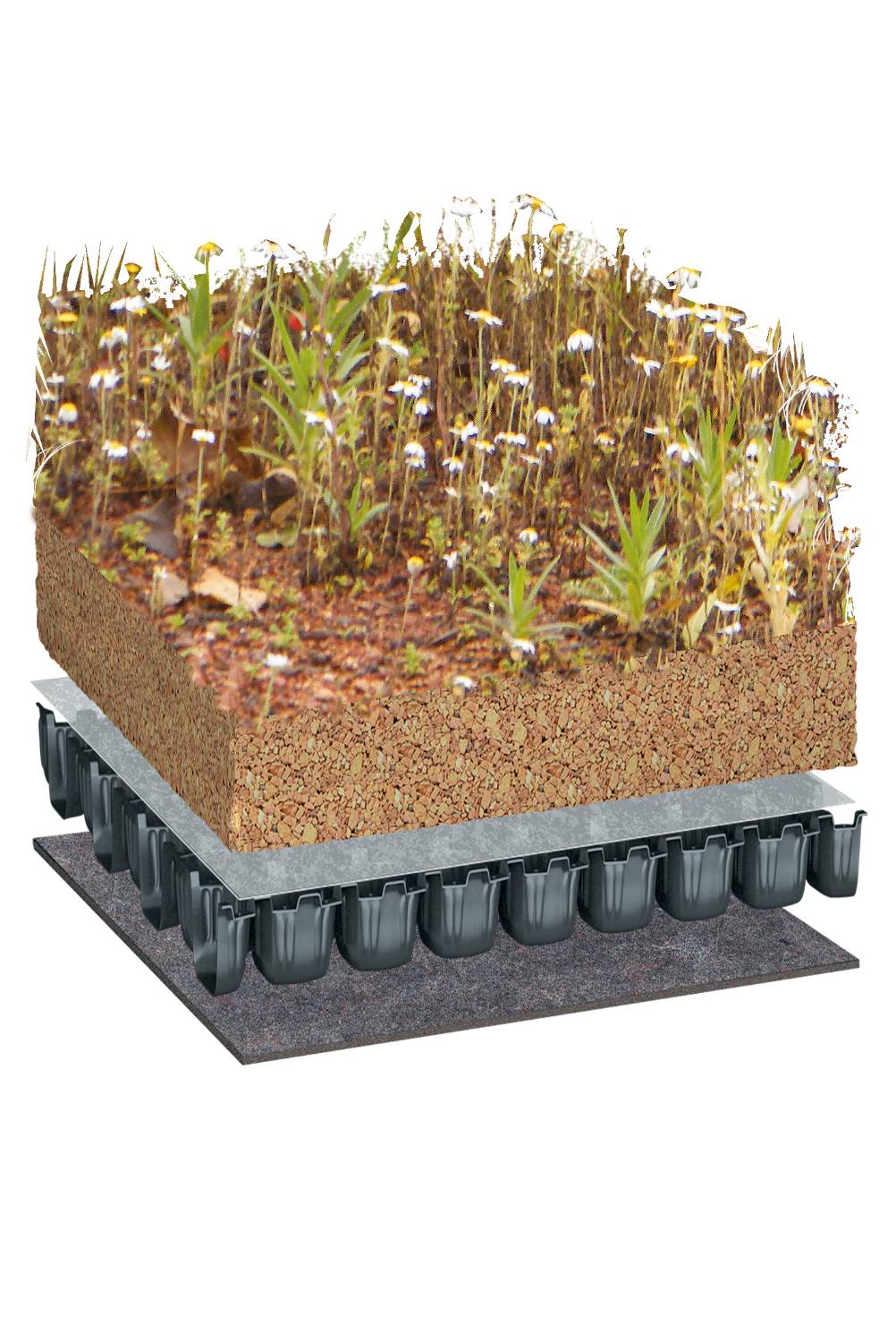 Bauder Flora Seed Mix Biodiverse Green Roof System, Flat Roof