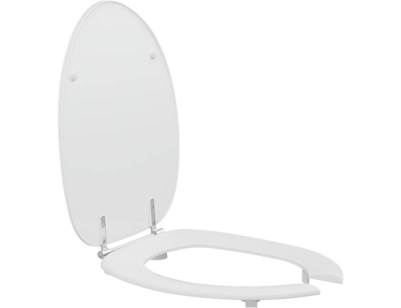 Dania toilet seat for wheelchair transfers