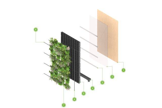 ANS Living Wall System - Plywood System