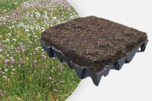 ANS GrufeKit Green Roof System - Brown Wildflower