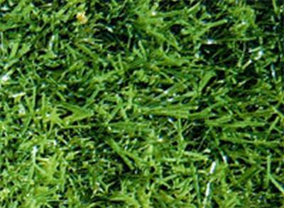 Laydex Fine Grass