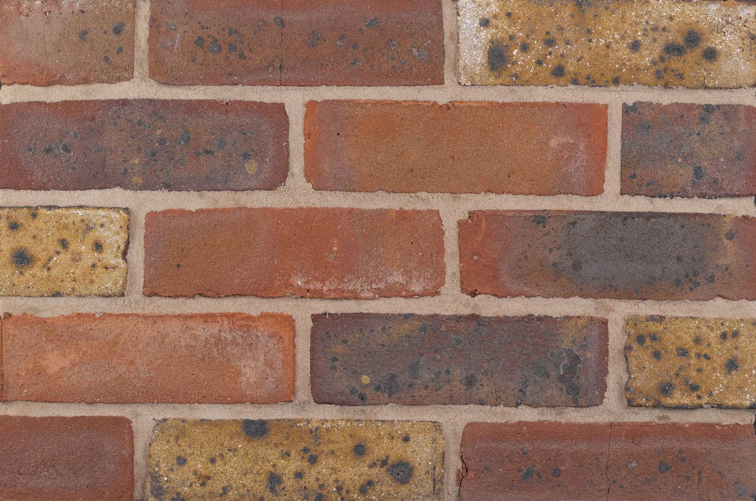 Freshfield Lane Synthesis S21 Clay Brick 