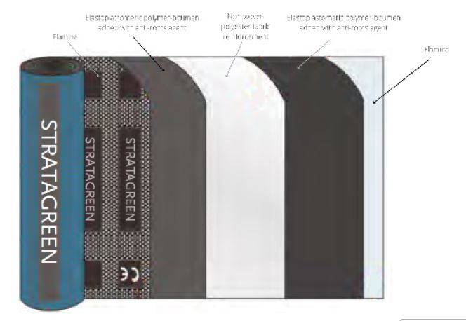 Strata – Reinforced Bituminous Membrane For Green Roof To Warm Roof – Flame Free And Torch Applied