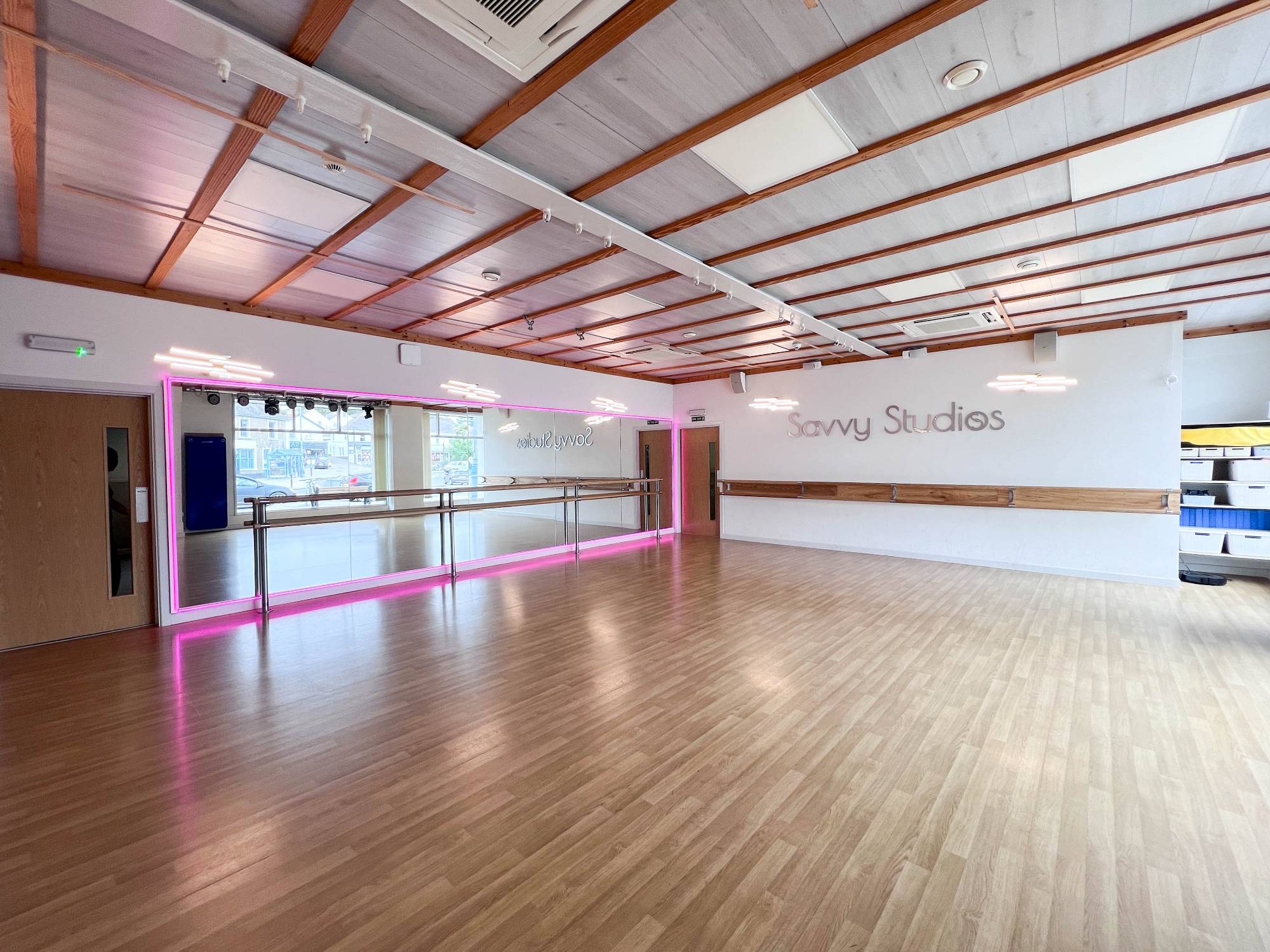 Dance and Performance Vinyl - Harlequin Fiesta - Dance and Performance Vinyl