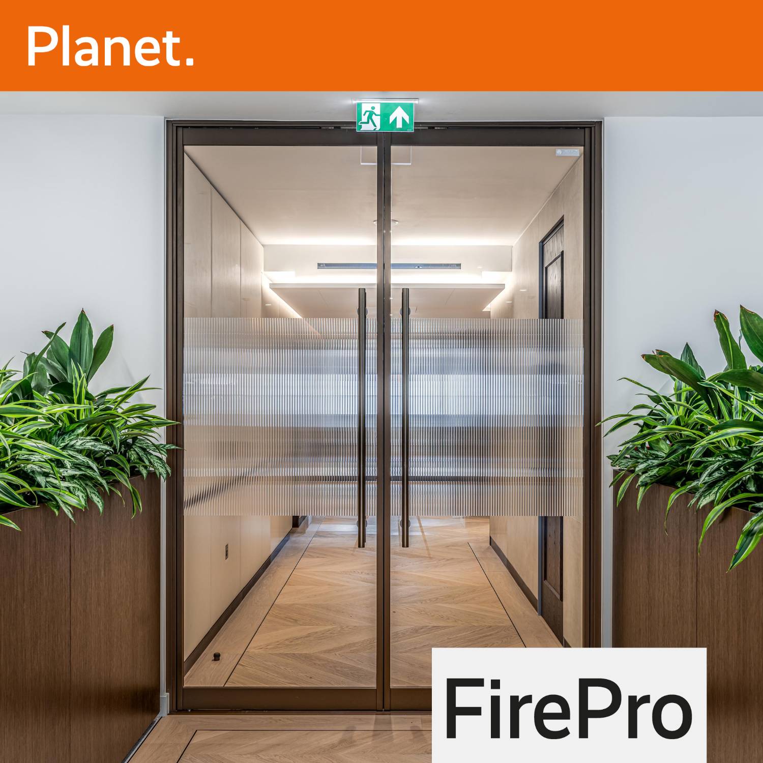 FirePro Ei60 Single Glazed Fire Rated Partition System And Doorset