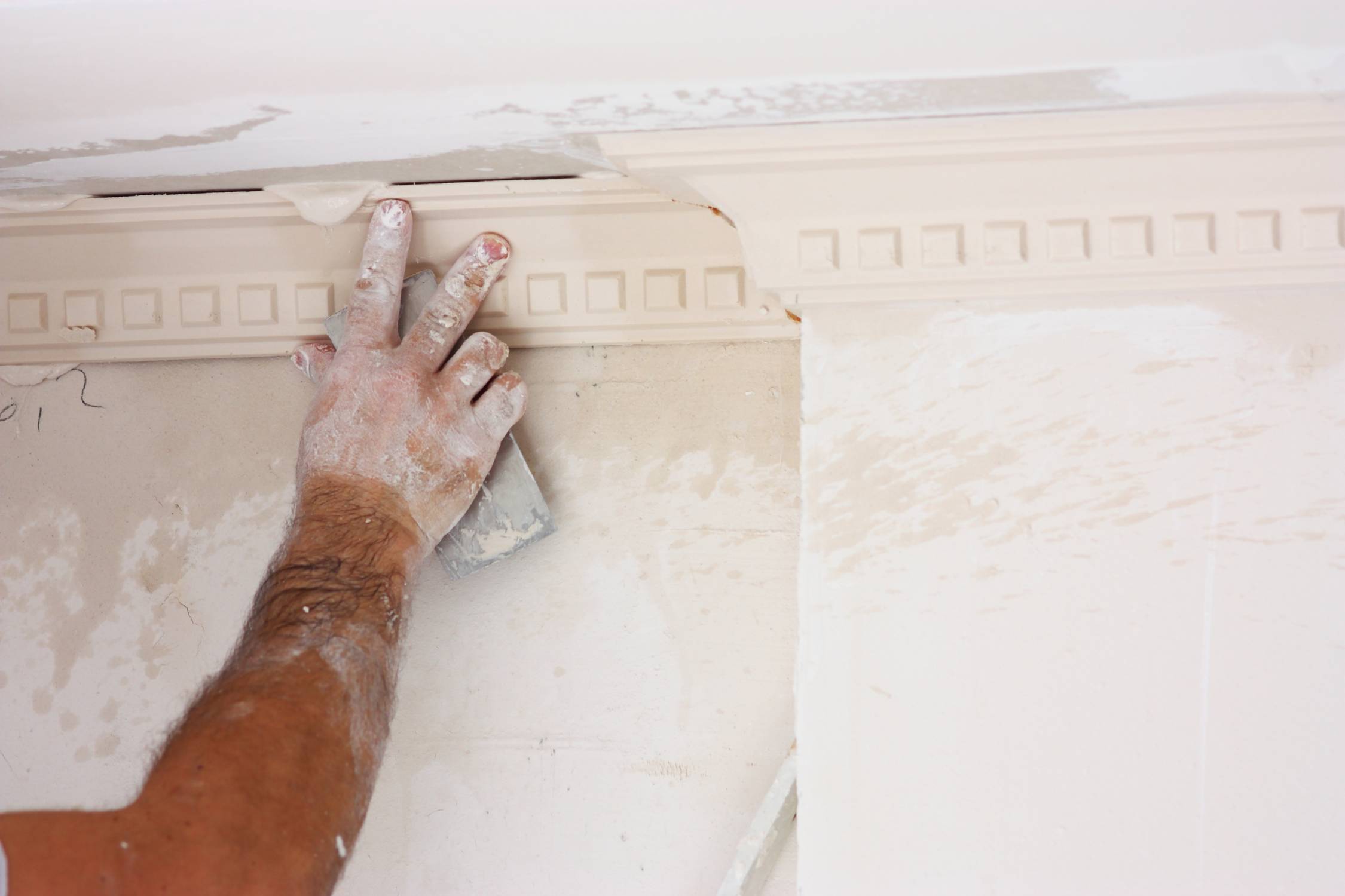 Prem Adhesive: For Fixing Cove And Cornice Systems