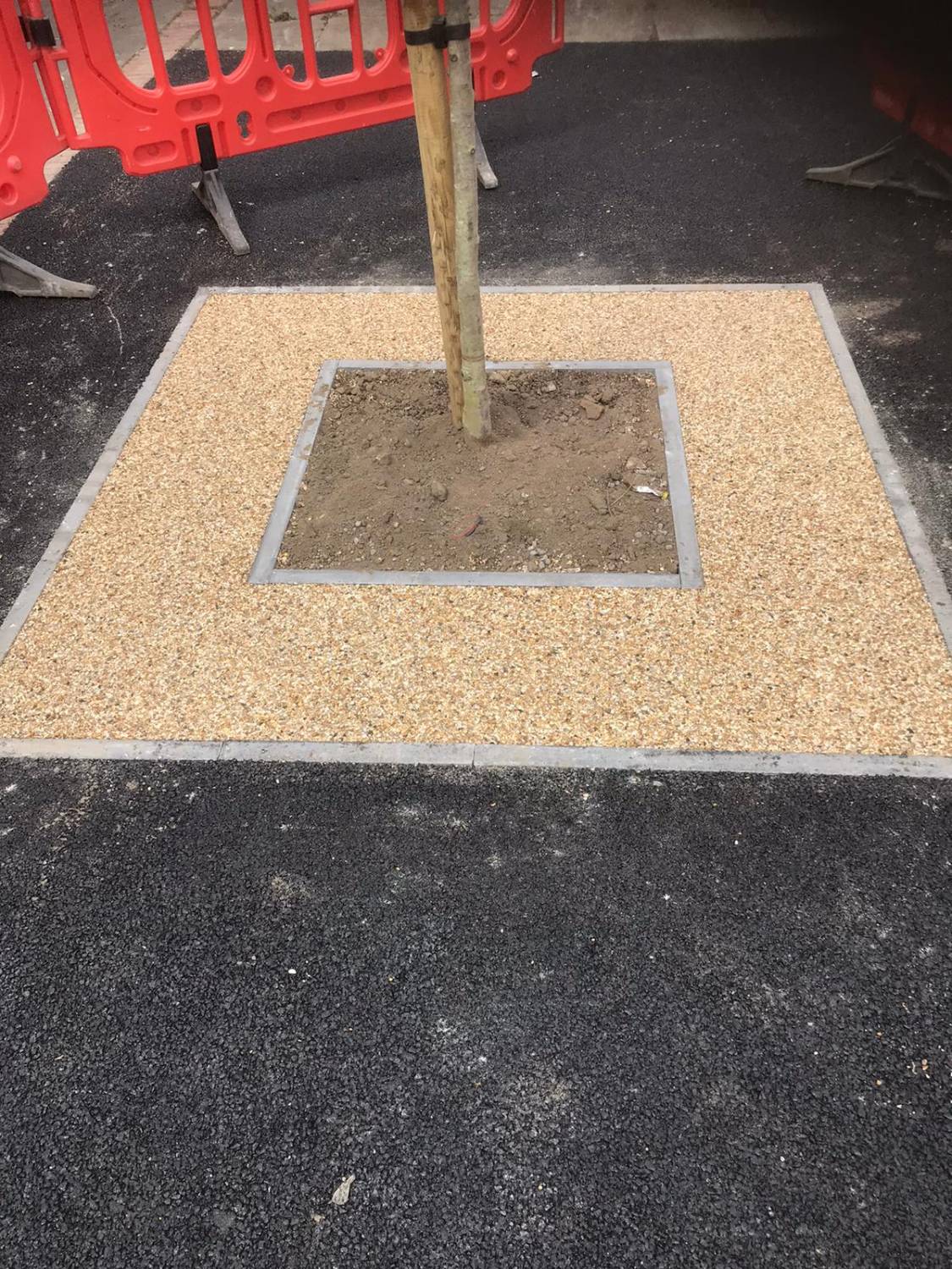 Resin Bound Tree Pit Surfacing  - Resin Bound Paving