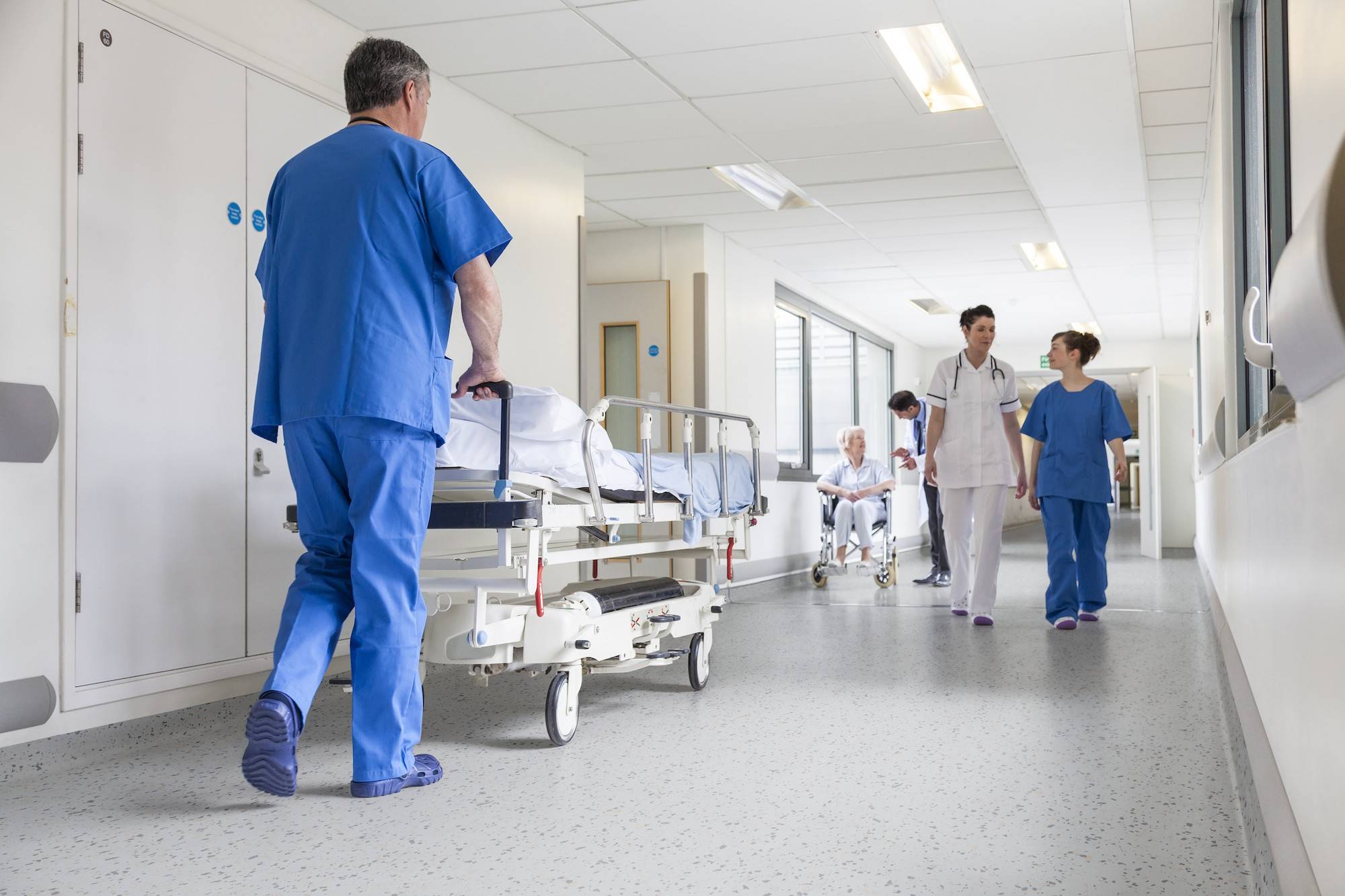 Taralay Premium Compact - Sheet - Poesy/Metallica Designs - Heterogeneous flooring