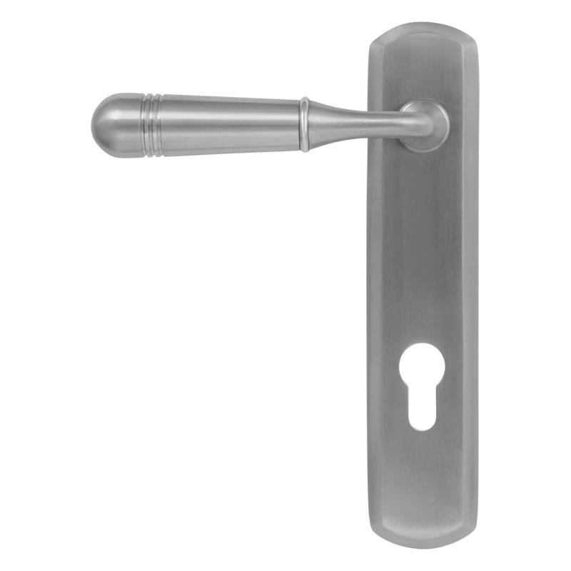 Stainless Steel  Lever Door Handle on Backplate - BLU™ - TBH090 Opera | Coastal Group
