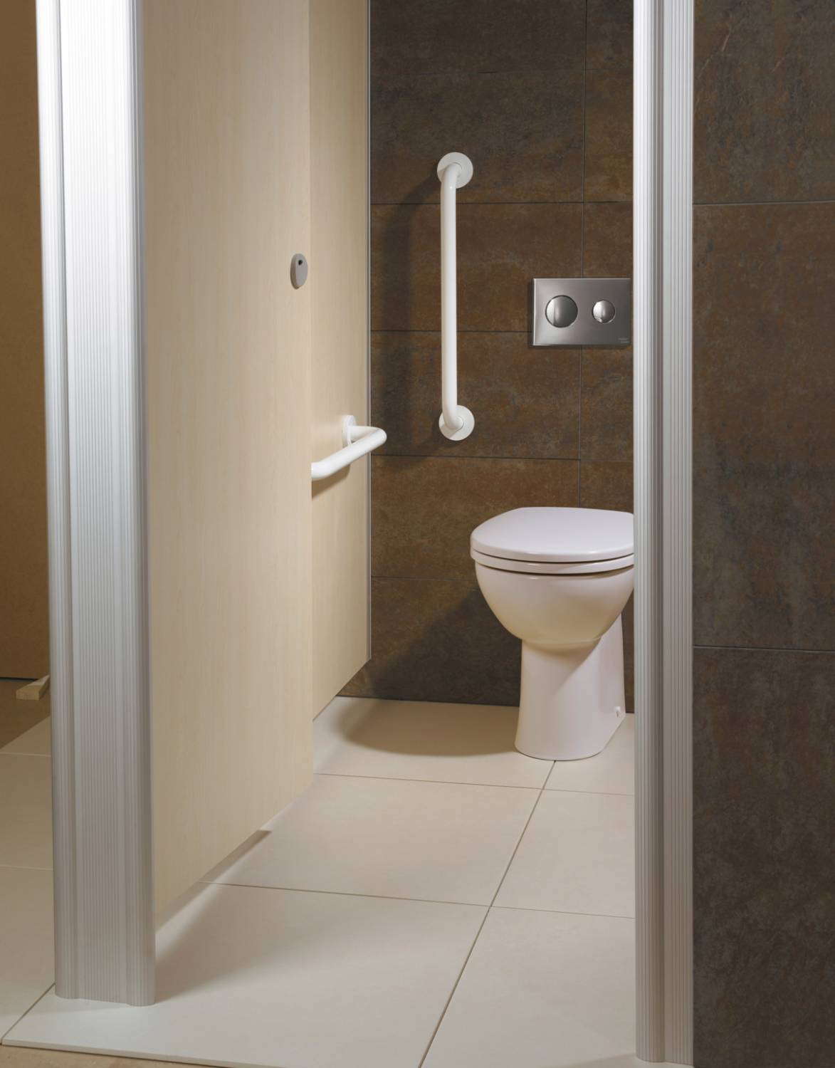 Contour 21+ Back-to-Wall Rimless Toilet - Toilet