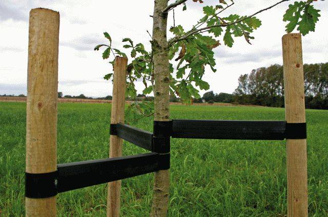 Holdfast Tree Ties