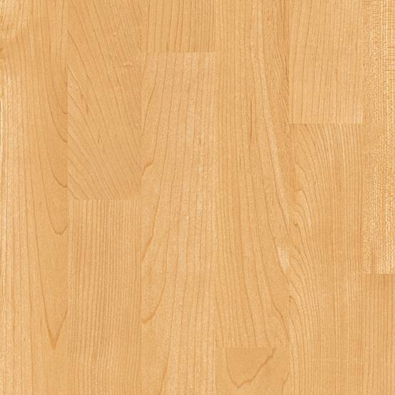 Taraflex® Evolution Dry-Tex™- Sheet - Sports flooring