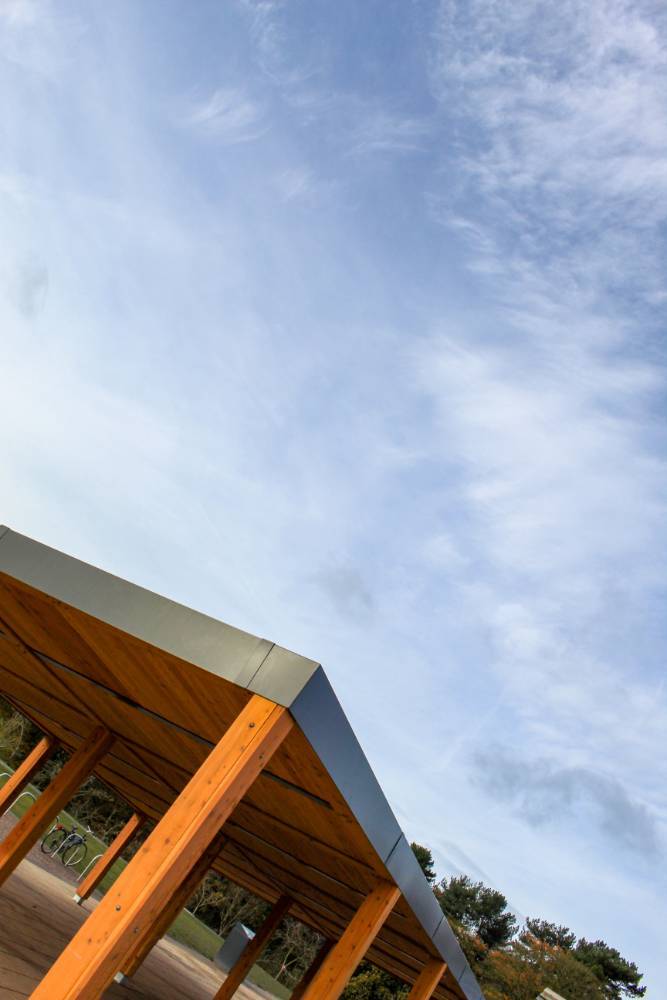 Birley Canopy