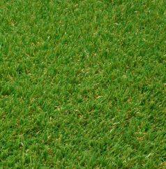 Artificial Grass