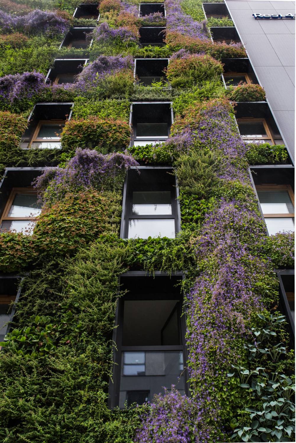 Rain Screen Cladding System - Cladding System