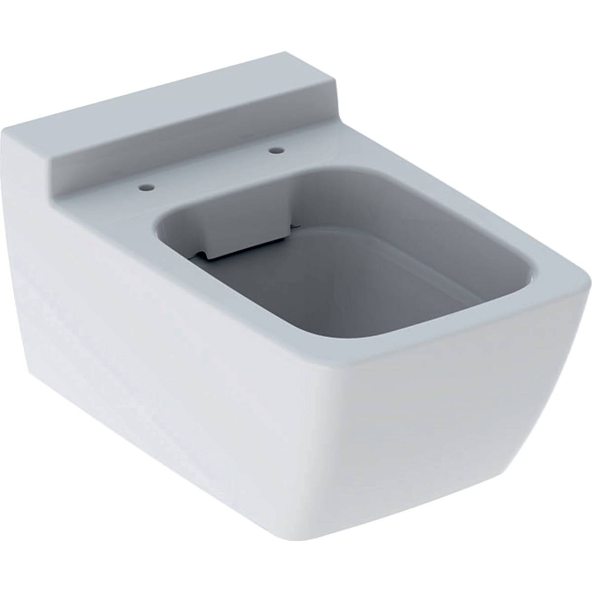 Xeno² Wall-Hung WC, Washdown, Shrouded, Rimfree