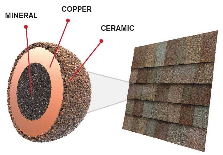 TruDefinition® Oakridge® (Algae Resistant) Shingles