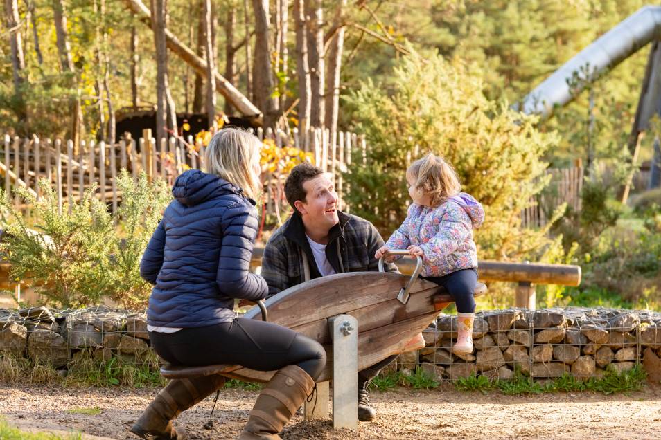 Hogmoor Inclosure | Create Partnerships | NBS Source