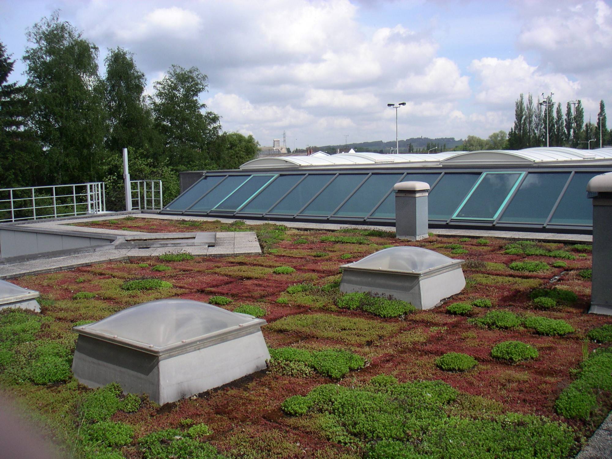 Dedicated Sub-Surface Adhered Membrane System, With PIR Foam Board - RENOLIT ALKORPLAN Green LA