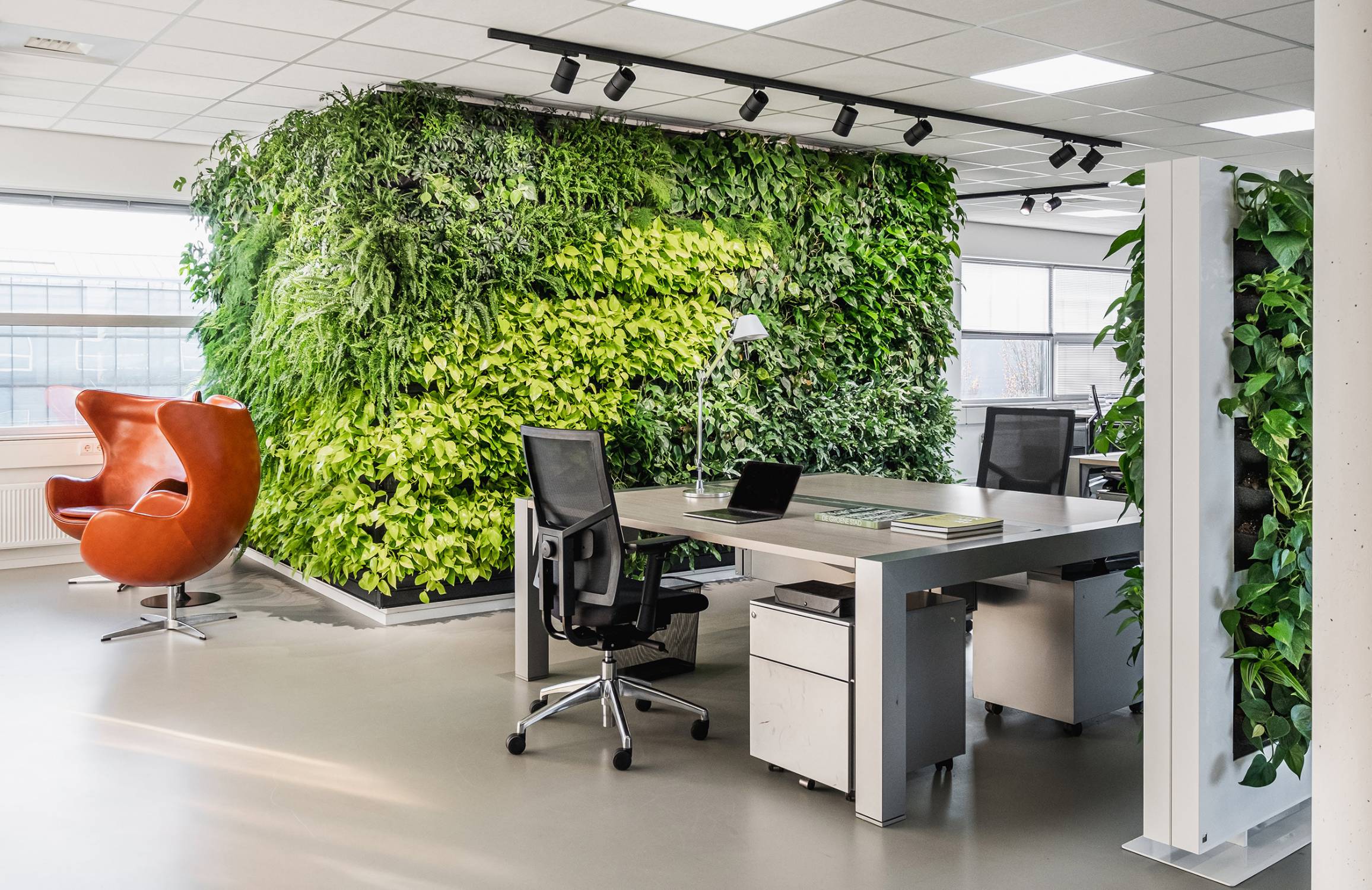 LivePanel® Living Wall Internal