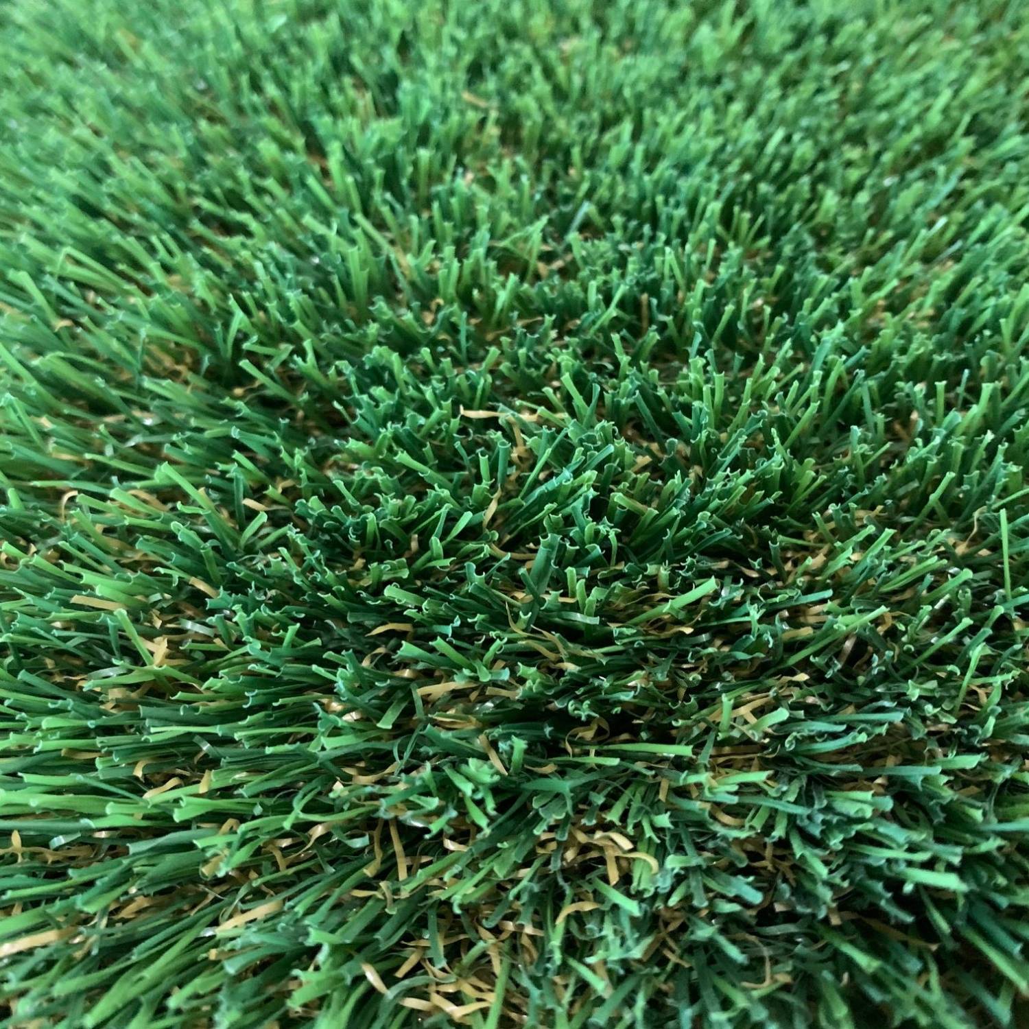 Elite Grass