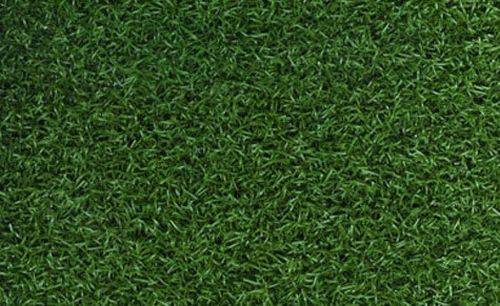 Putting Green Pro - Artificial grass