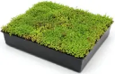 Pro-Living® Easy Green Modular Tray  - Green Roof Component