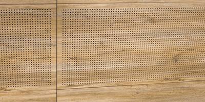 Acoustic (Perforated) Sports Wall Panel