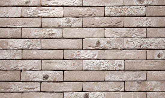 Antro - Clay Facing Brick