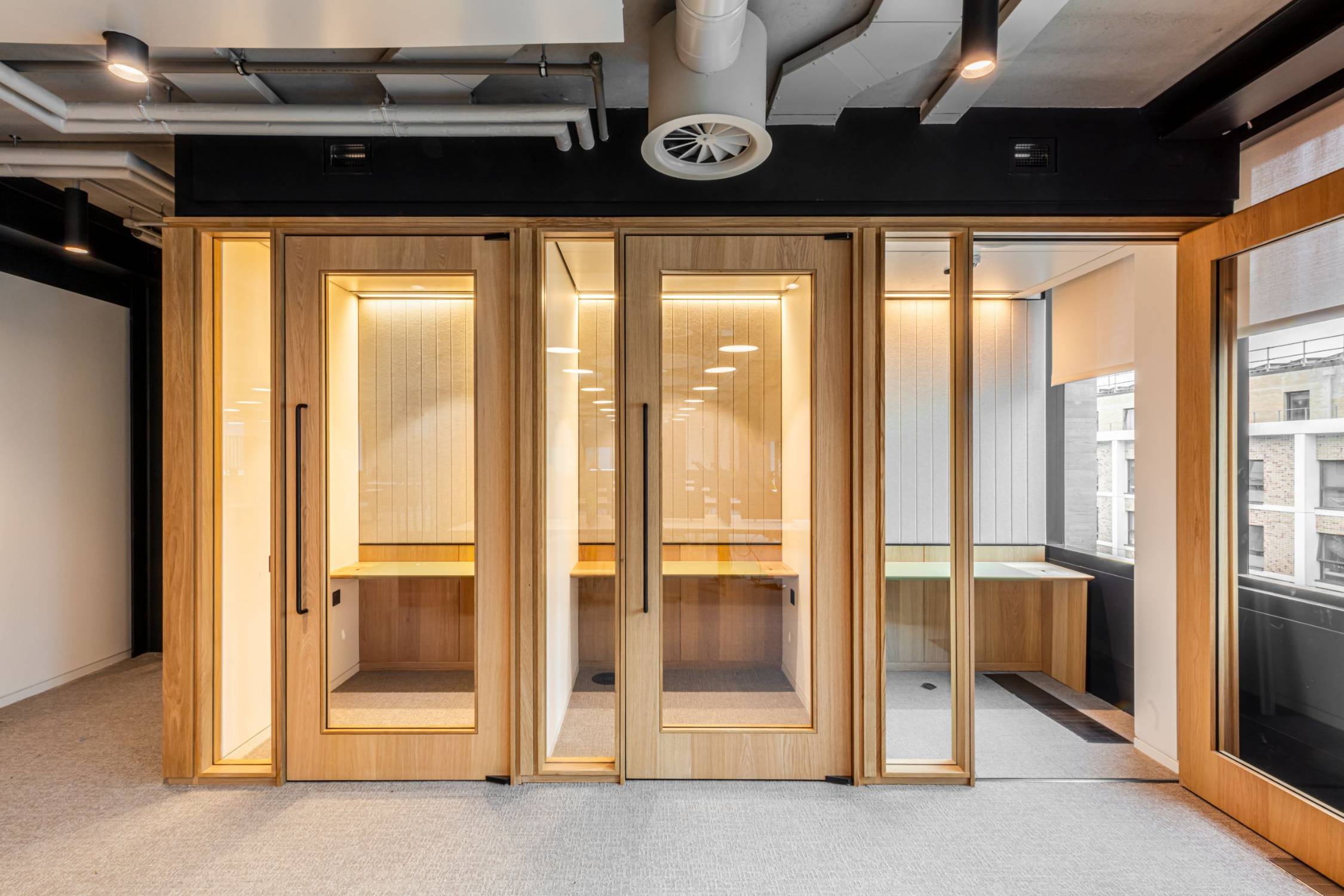 Timber Core Acoustic Pivoting Door