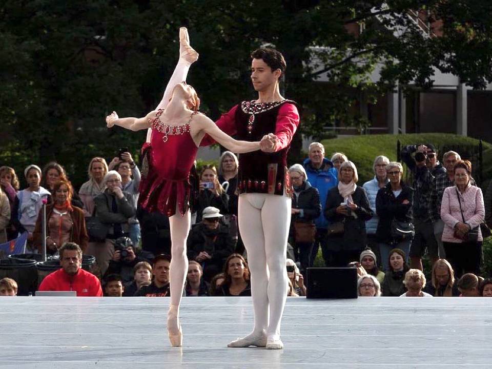 Sprung Dance floor - Harlequin Liberty HD - Dance and Performance Floor