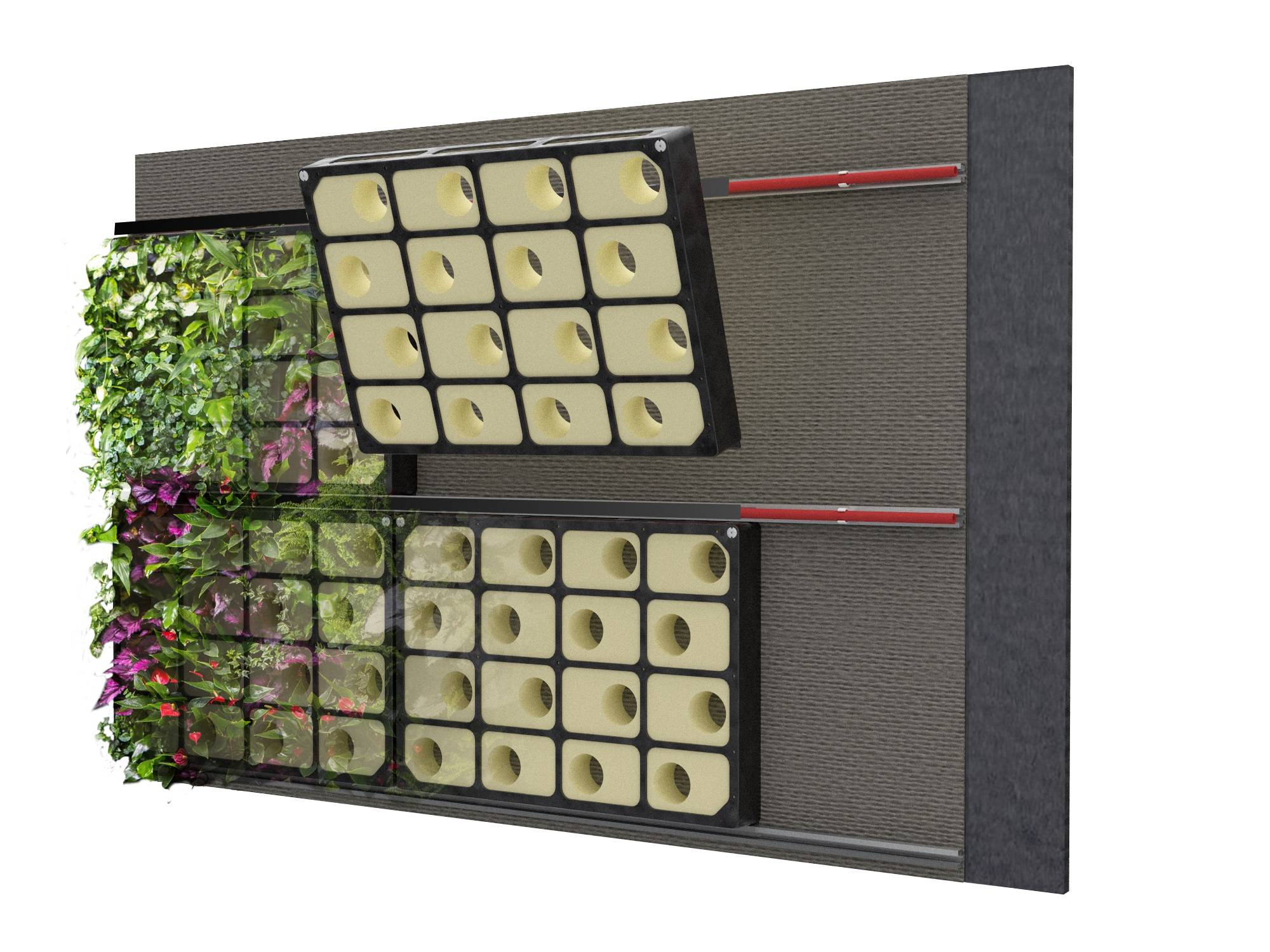 Living Green Wall - BioPanel Hydroponic Living Wall System - Wall cladding 