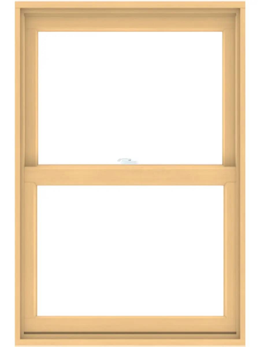 200 Series Double-Hung Window 