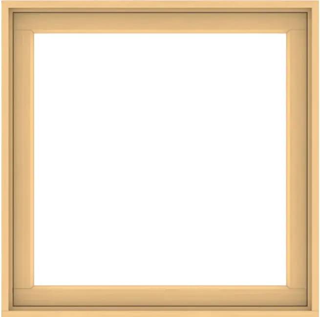 200 Series Picture Window 