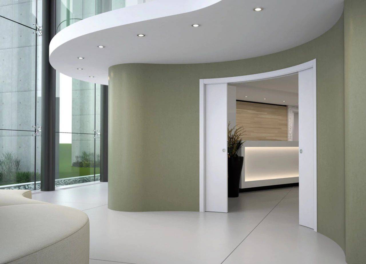 Curved Pocket Door System