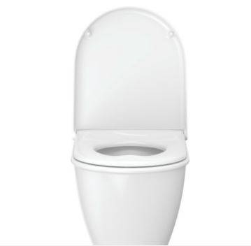 Darling New Wall Mounted Toilet - 540 mm 