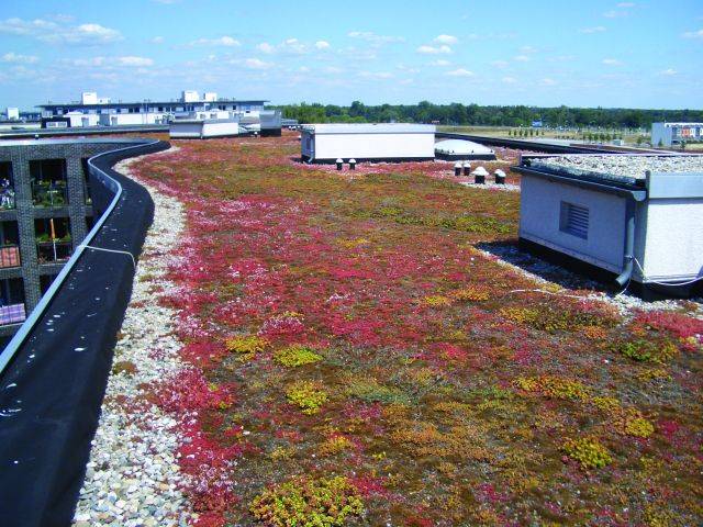 Eco-Roof System