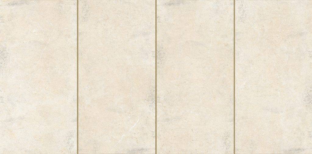 Eden Porcelain Flag Paving