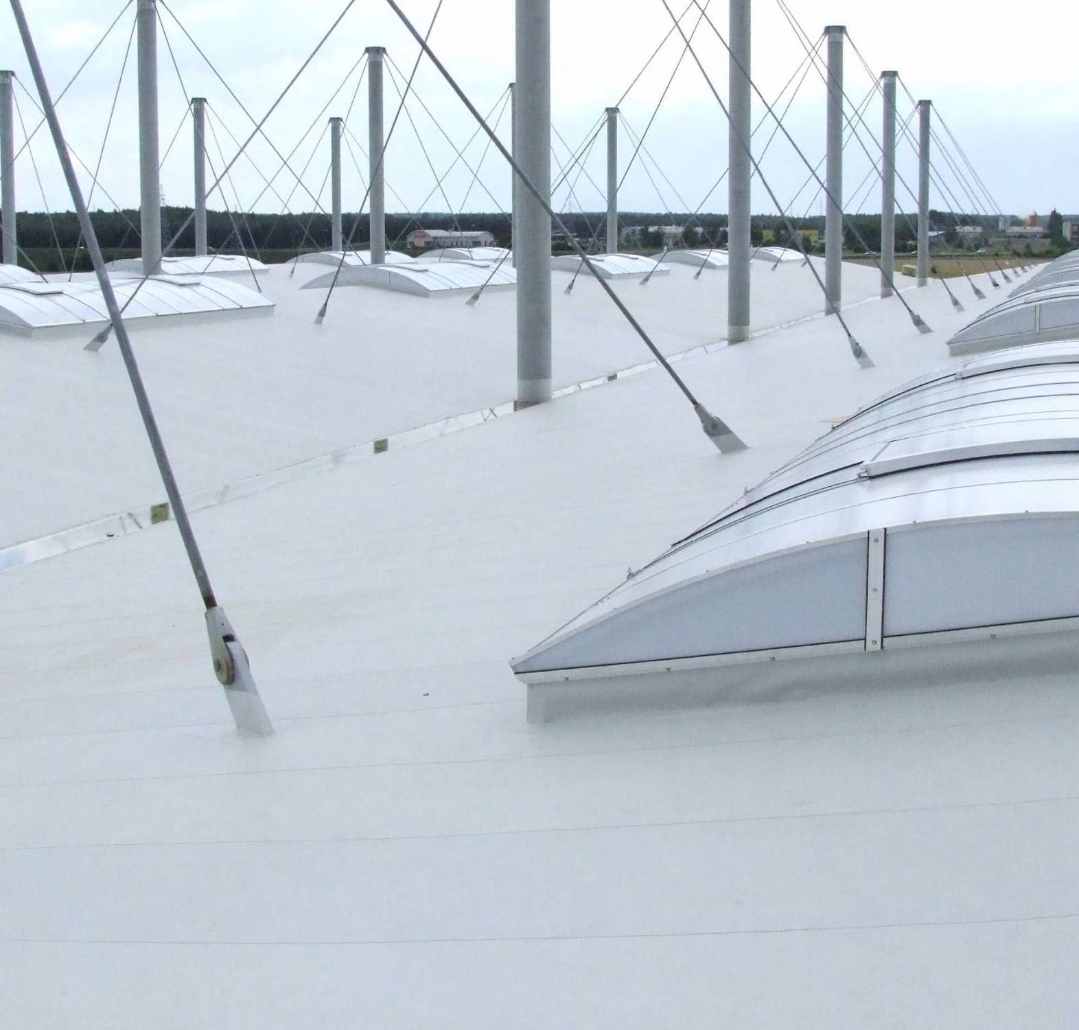 Bailey Atlantic TPO Adhered System (Cold Roof)