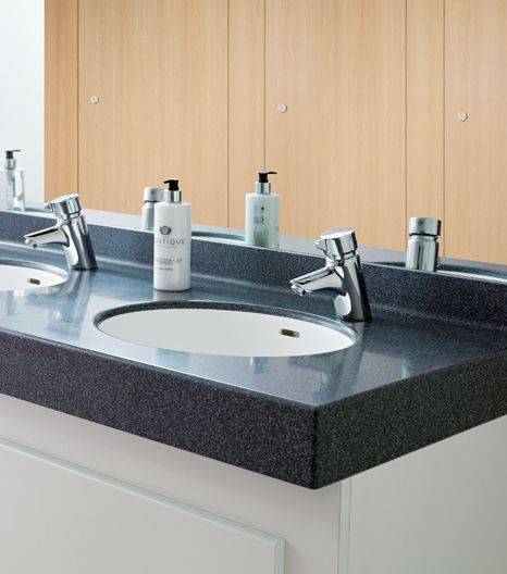 Corian Integral Basins