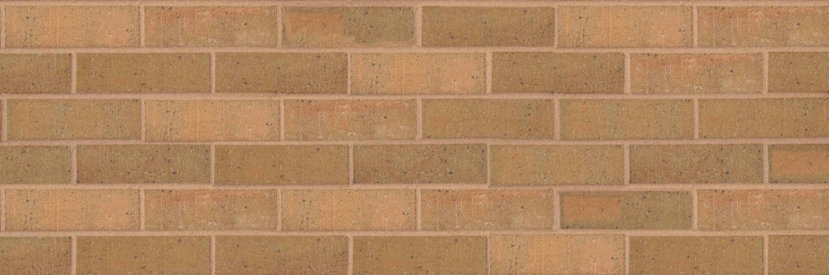 Blockleys Wrekin Buff Clay Brick