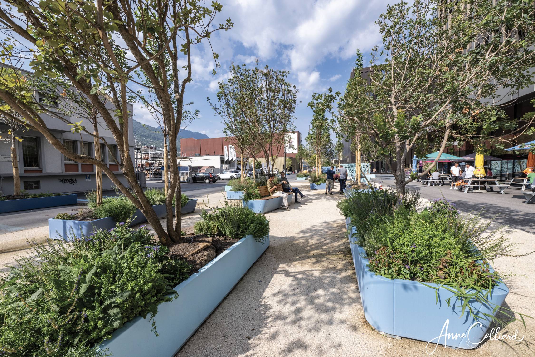 City of Sion Planter