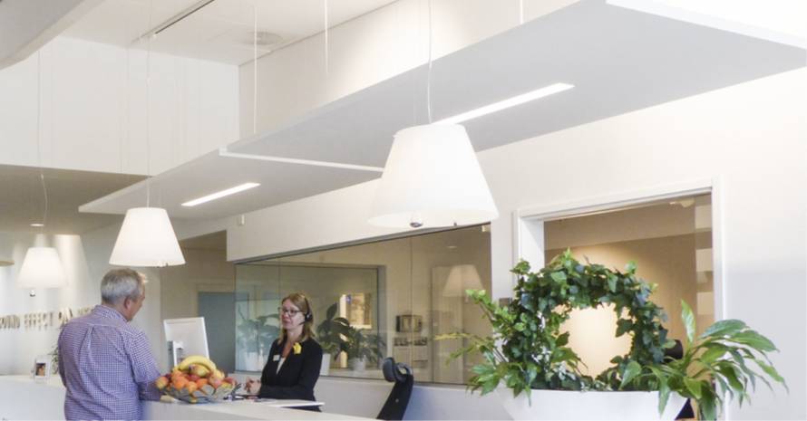 Solo Rectangle Line acoustic raft - Acoustic Raft with Recessed Luminaire 